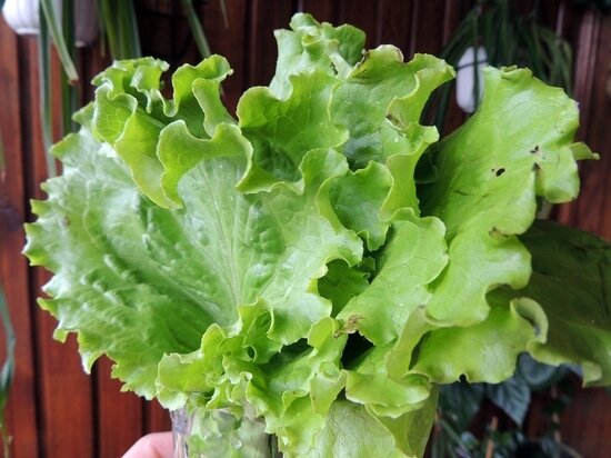     фото: crimea.mk.ru