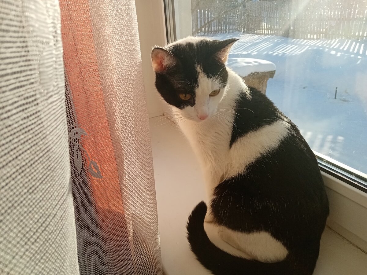 Веня ждет встречи со своим Человеком