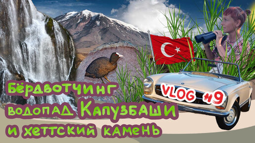 #9 Бёрдвотчинг, водопады Капузбаши и хеттский камень // По Турции на авто // Арарат trip