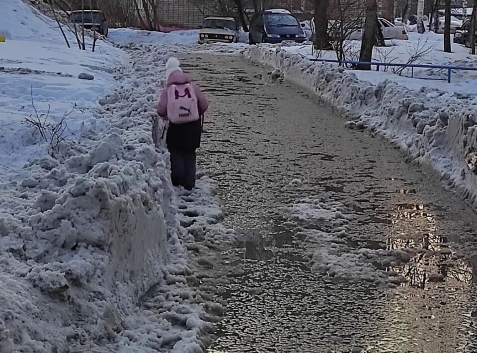     Фото: Андрей Виноградов