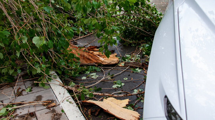 SVETLANA VOZMILOVA/GLOBALLOOKPRESS