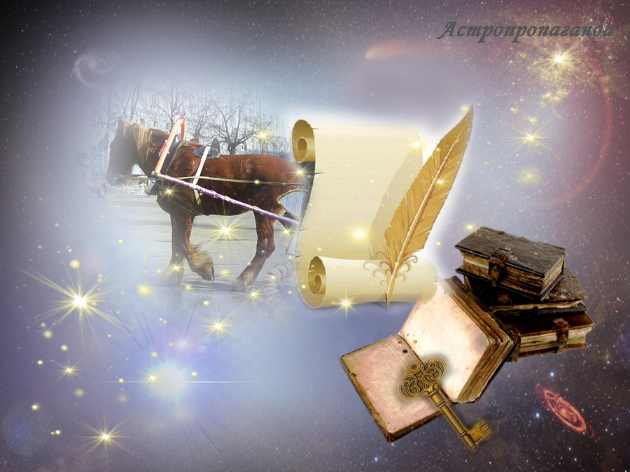 Коллаж Нины Стрелковой.