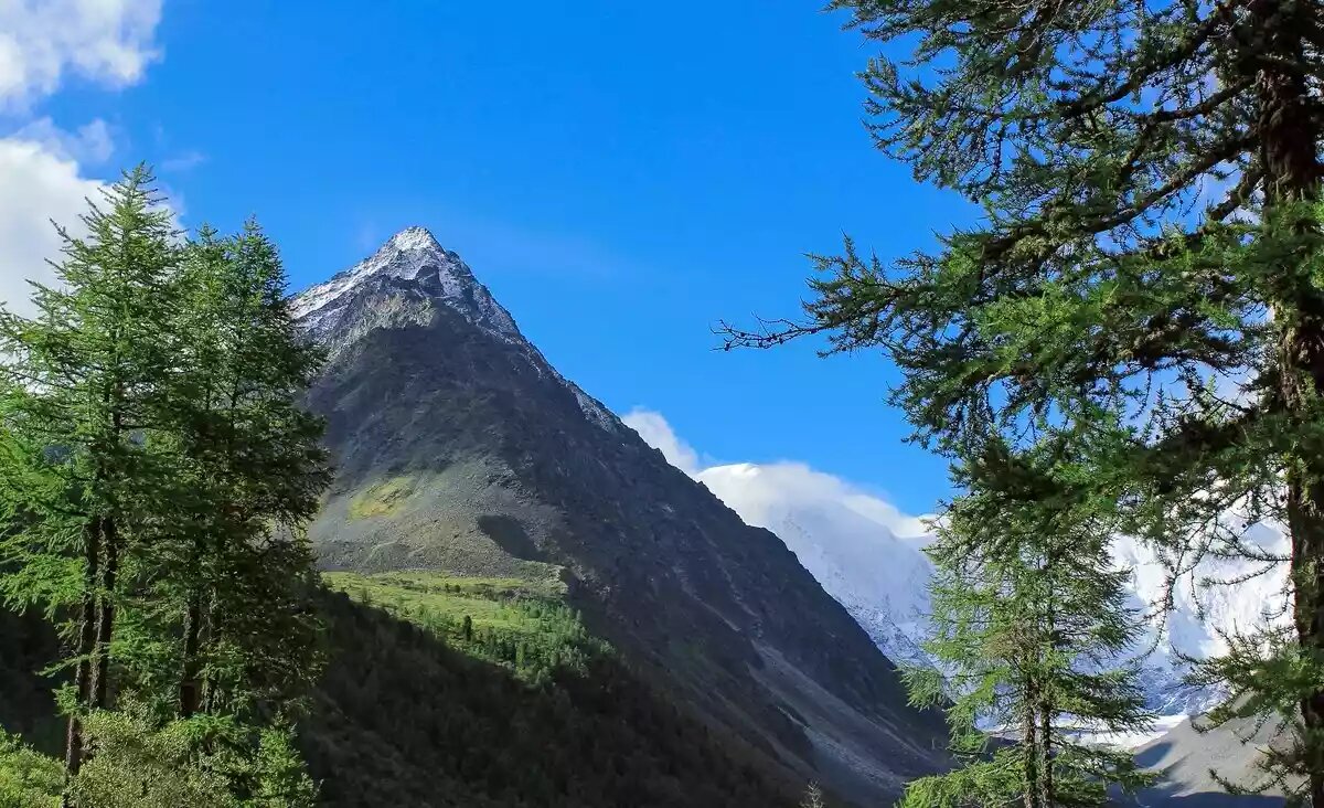 Гора белая Алтайский край