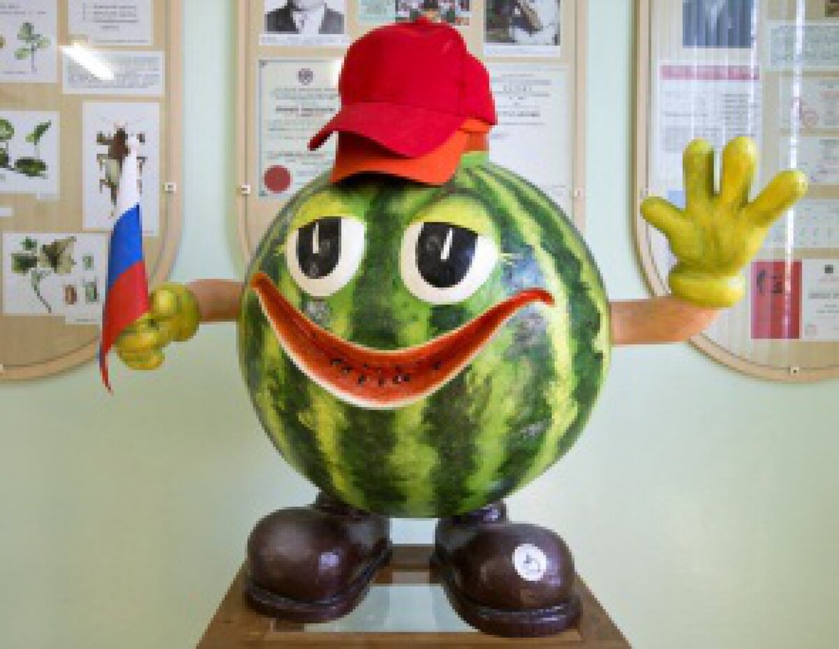 Музей арбуза в Камызяке