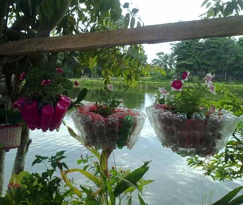 Фото с сайта idealsad.com