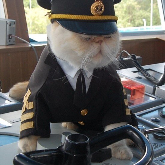 Форма старпома