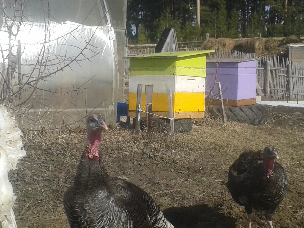 Что-то задумала.