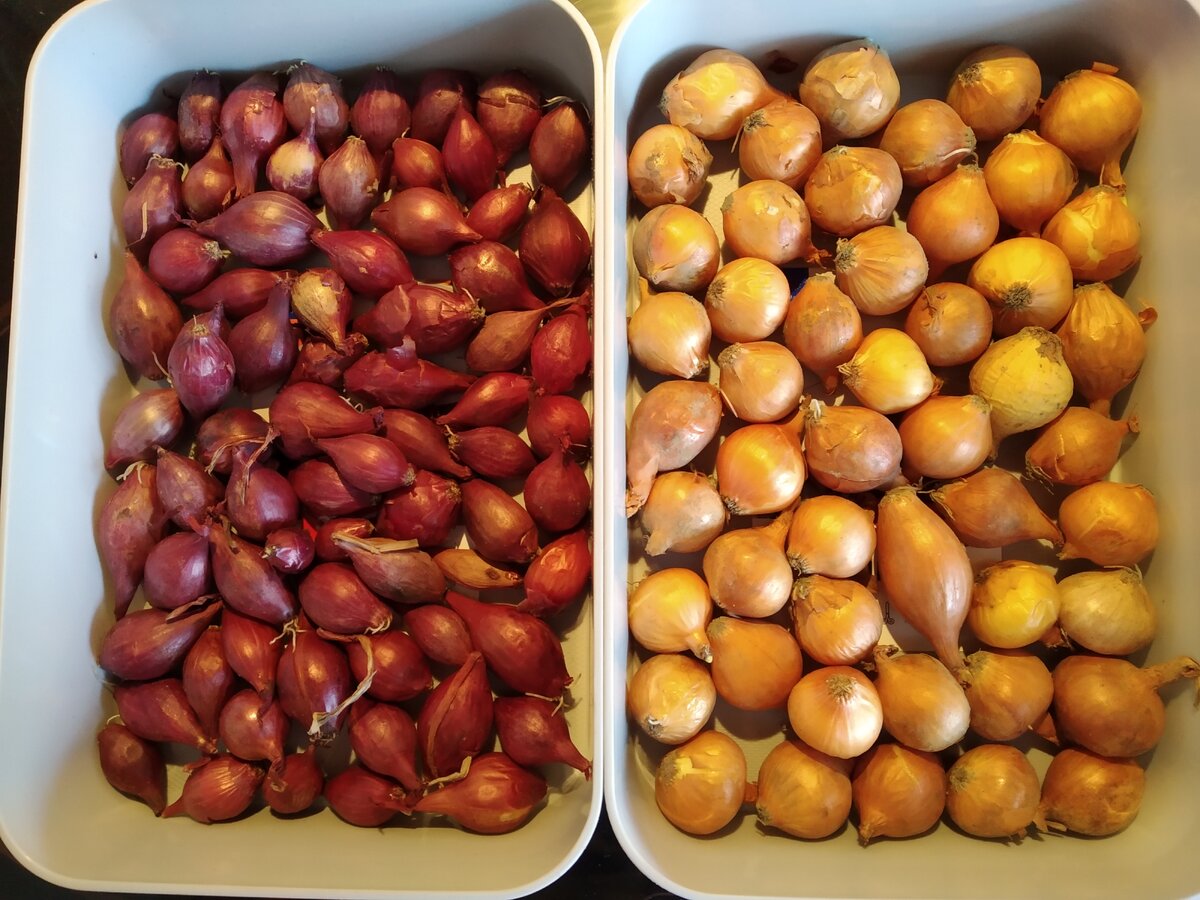 Маленький еще.