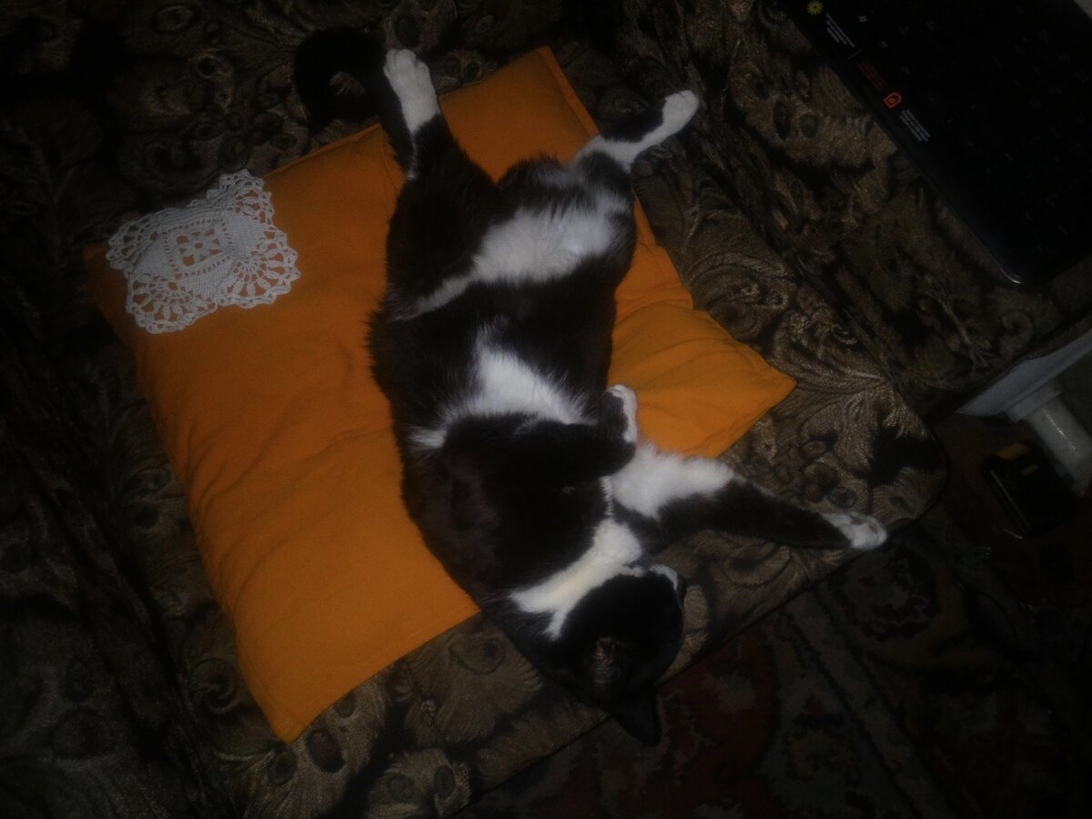 Фото автора 