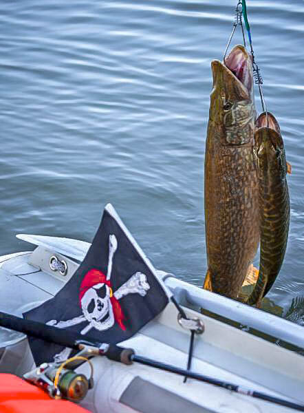 Фото Д.Богачев