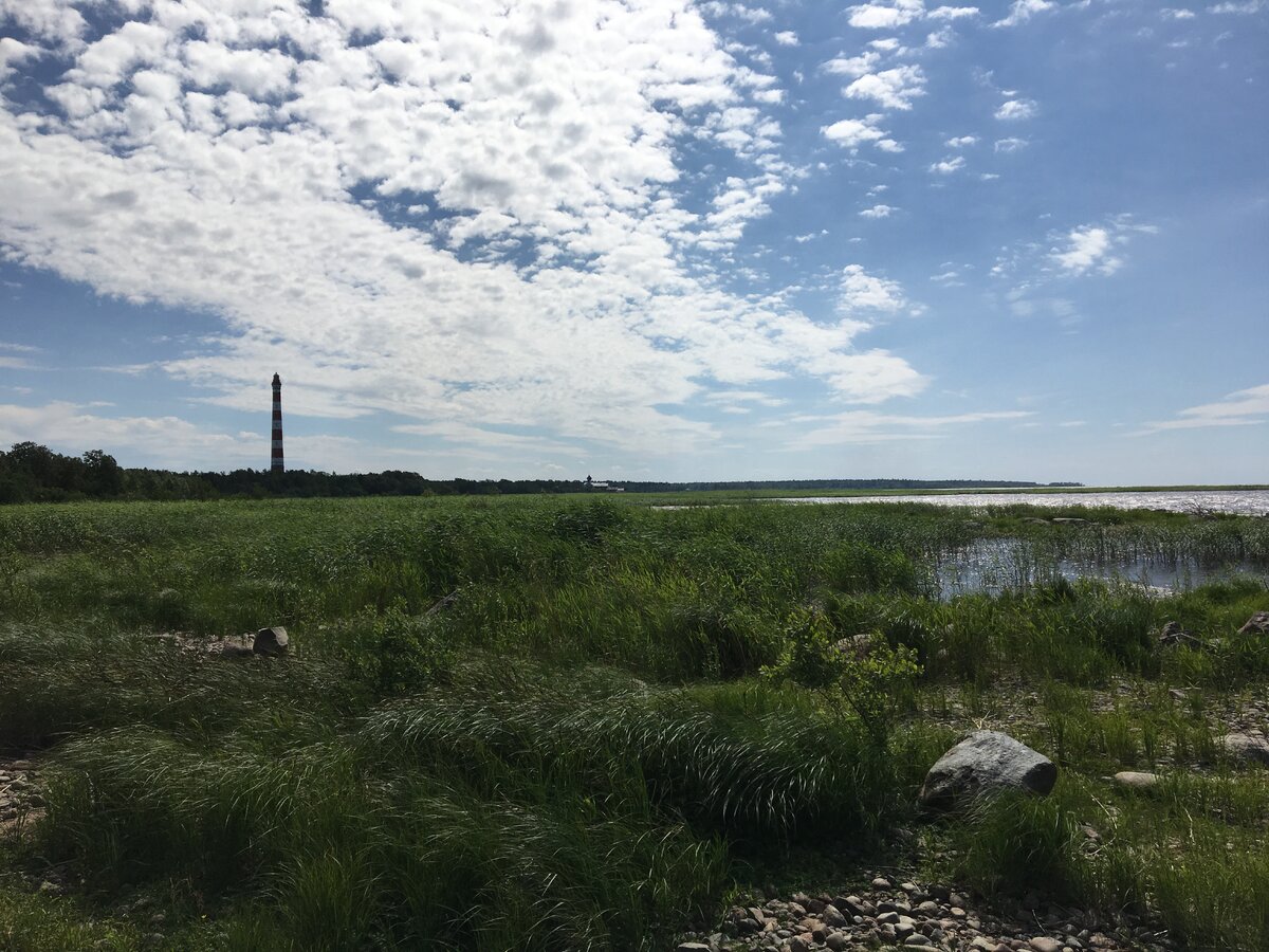 «Если есть на свете что-либо надежное, так это свет маяка. В мире есть абсолютные вещи: морские течения и времена года. И то, что по утрам восходит солнце. И то, что маяки светят».  Туве Янссон «Муми-папа и море»