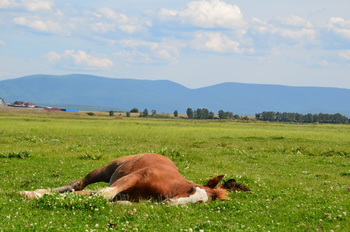 На берегах Байкала 