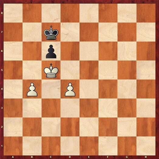 Поз. 23 (Ход черных)