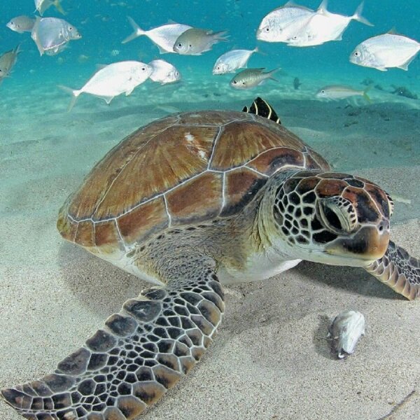 Источник: Яндекс.Картинки