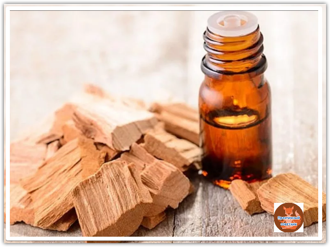 Эфирное масло сандалового дерева