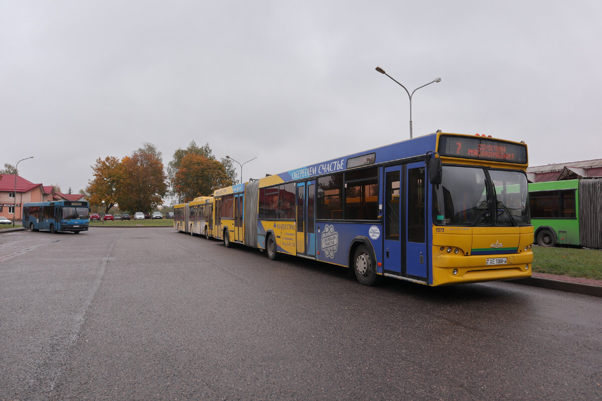 Длинные автобусы в белорусских райцентрах | Транспортный Глобус | Дзен