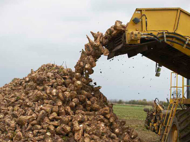 © www.agroinvestor.ru