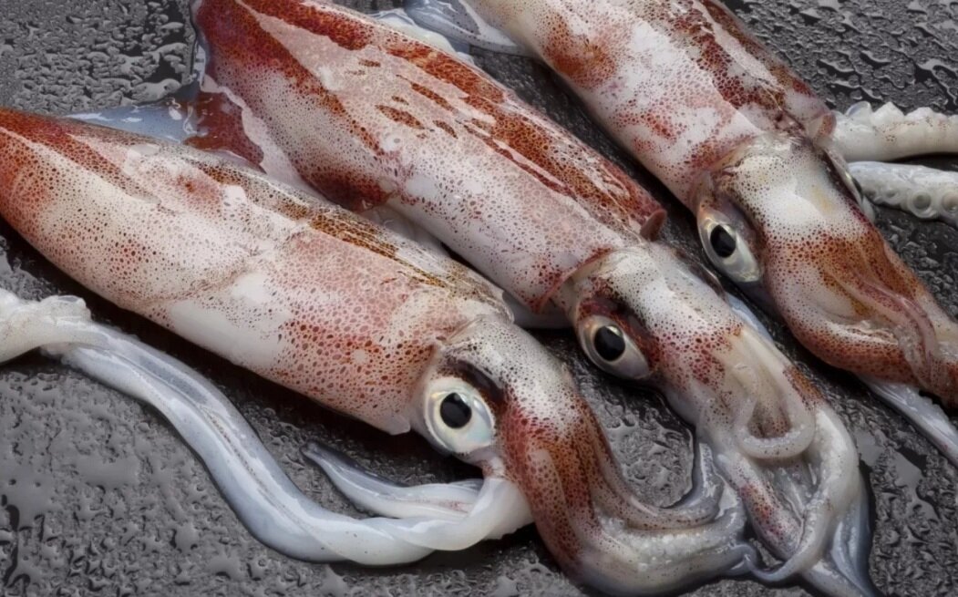 В моих воспоминаниях они выглядели примерно так и восхищение подруги я оценила не сразу.