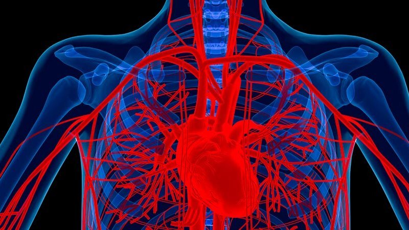 Il presente schema mostra come si sporcano i vasi. Se non li avete mai puliti e avete più di 40 anni, contengono un sacco di impurità. Questo può influire sulla vostra salute, o forse il processo è già iniziato.