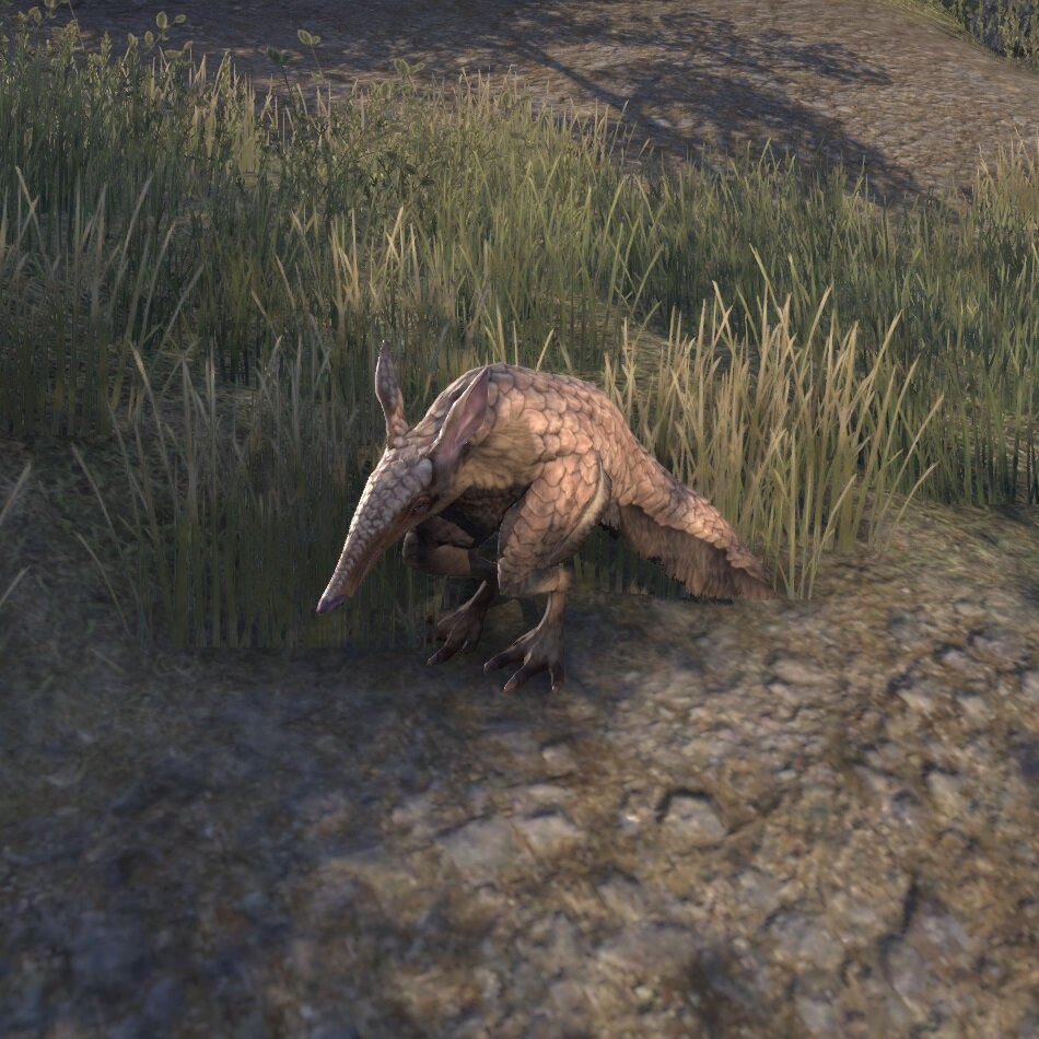 Ввардварк в ESO