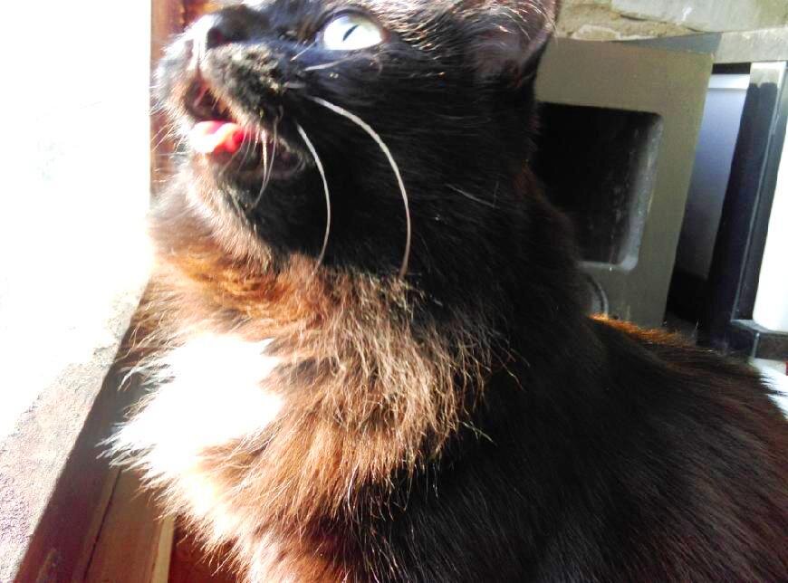 Надо осмотреться