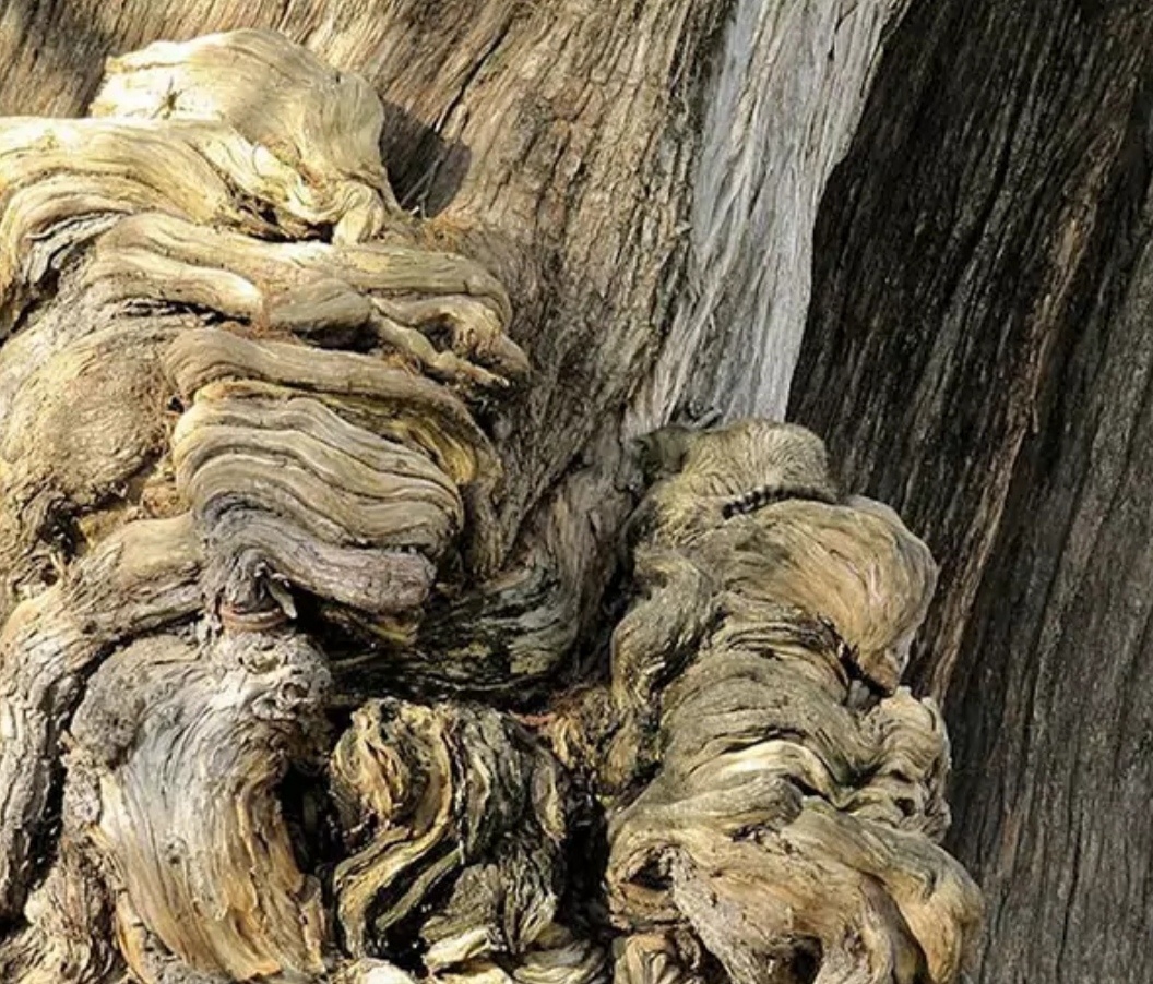 Фото с sm-news.ru