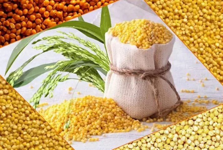 Солнечное просо