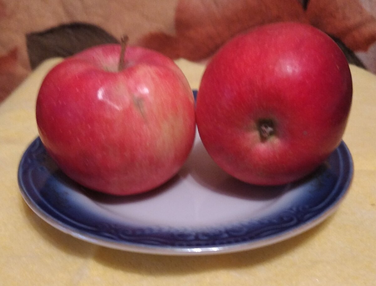 Личное фото.