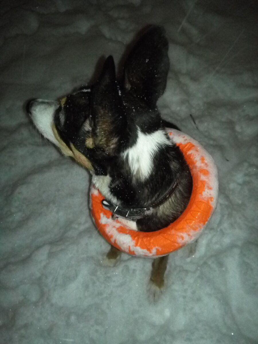 О, хозяин, а там люди... Ну сидеть так сидеть, что уж!