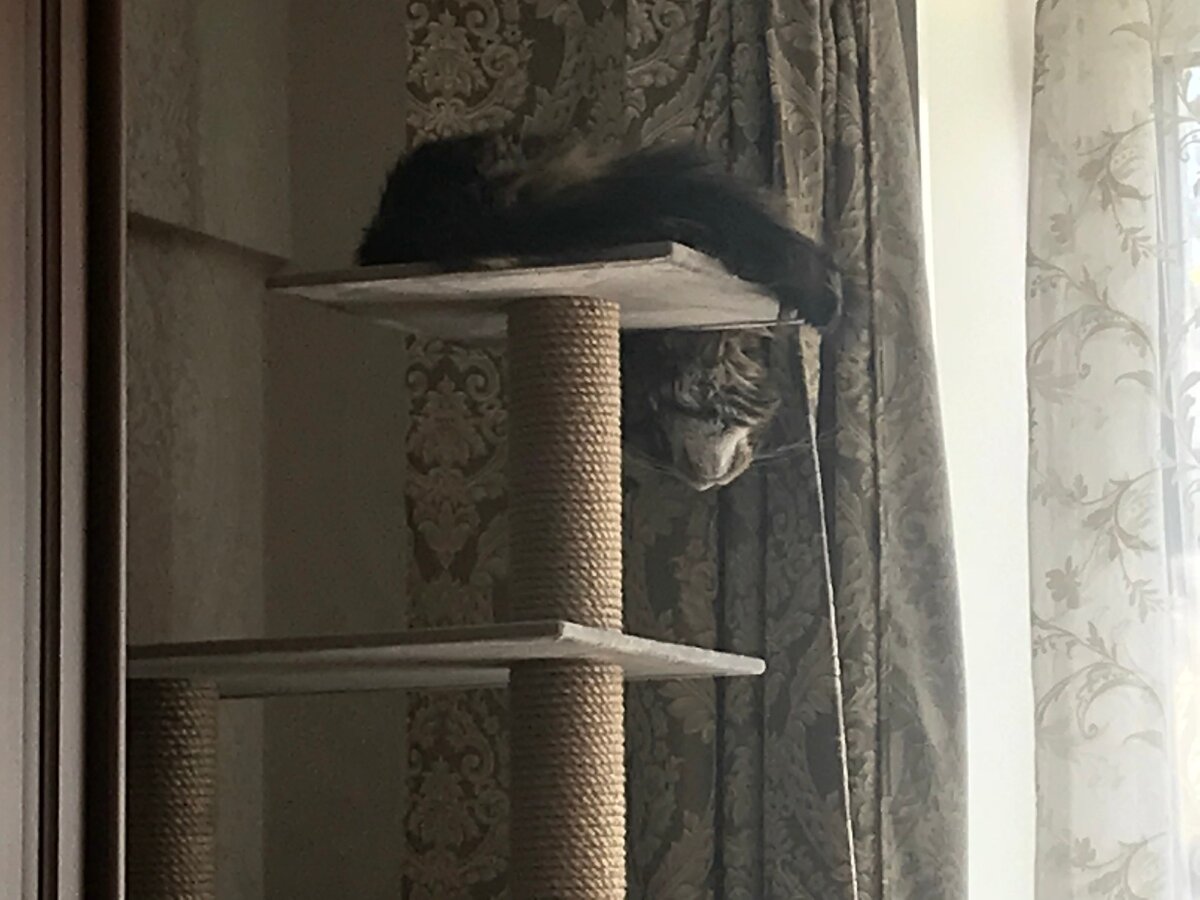 Как хочу так и сплю, моё дело!