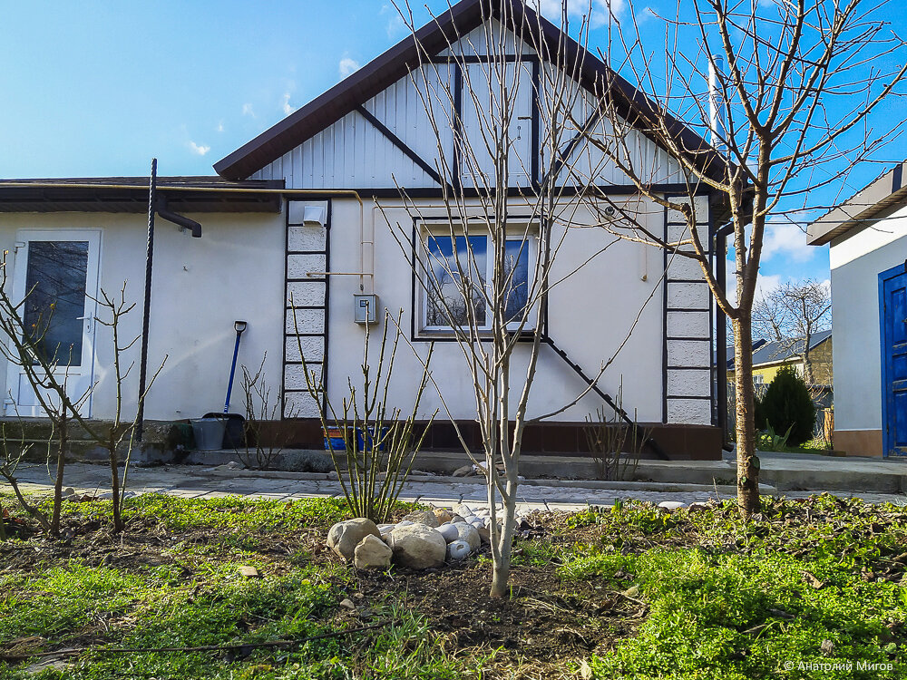 После злой крымской зимы. Наш сад: было-стало