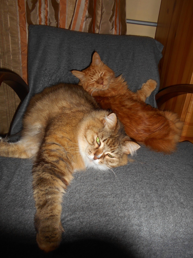 вот так мы спали