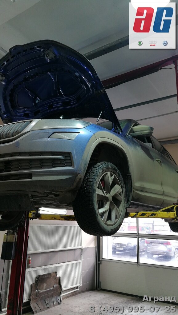 Осмотр автомобиля Skoda Kodiaq на предмет течи масла.