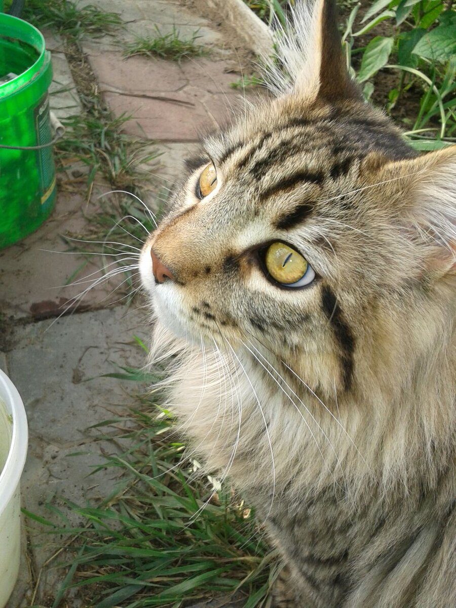 Возраст 1.5 года