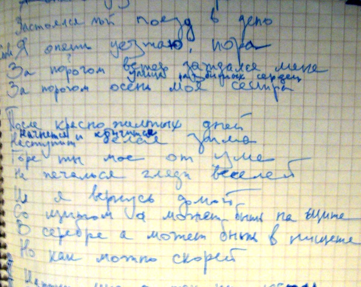 фото из архива Н. Разлоговой