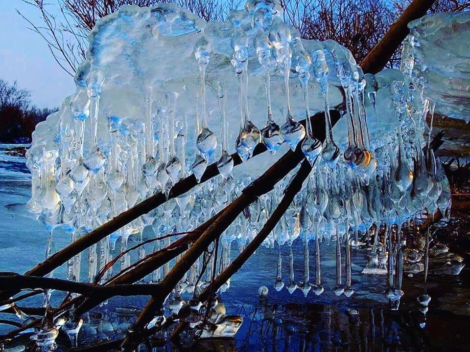 Фото: Игорь Жабский