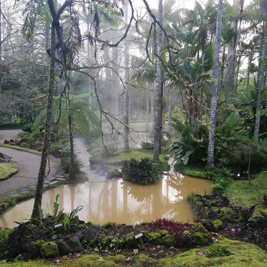 Фурнаш, территория отеля Терра Ностра. 