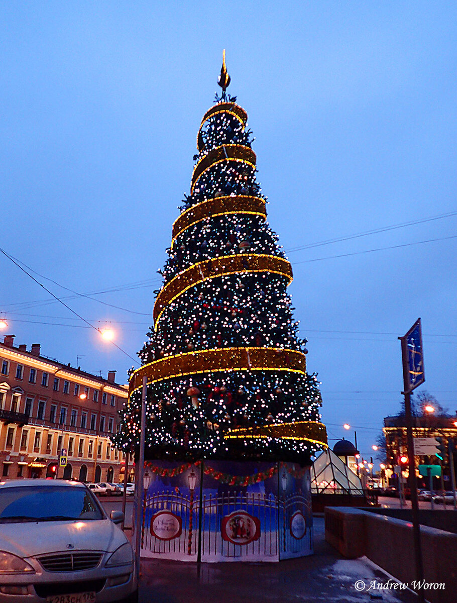 Новогодние елки спб