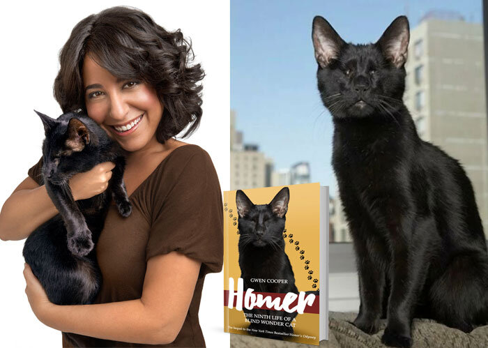 Источник: gumroad.com