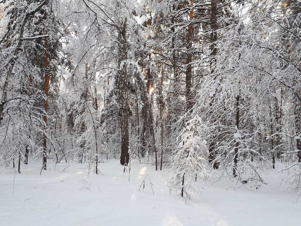Фотография из личного архива автора