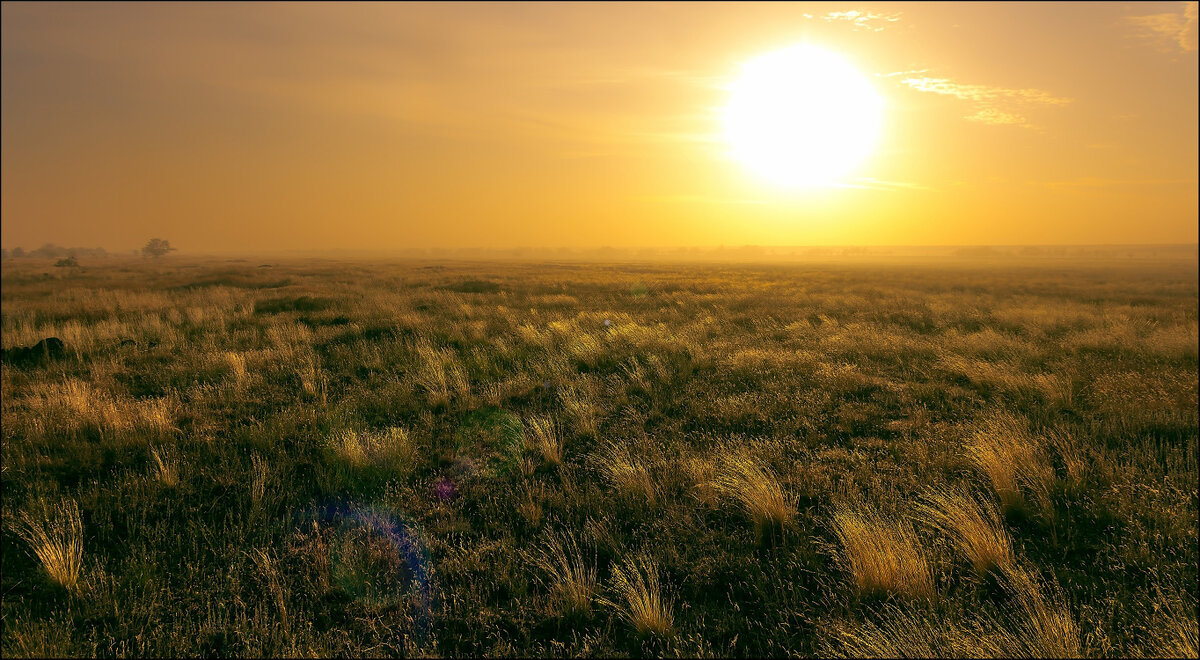 4 октября 1995 г.