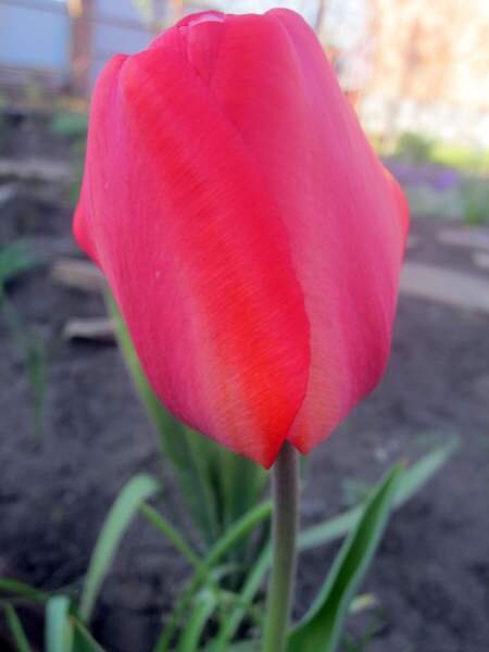 Собственное фото автора, 2019 год