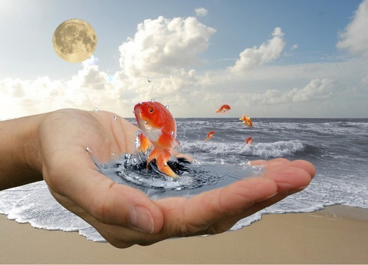 Фото в свободном доступе на Яндексе.