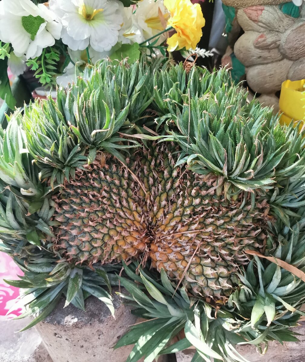 Наш незнакомец