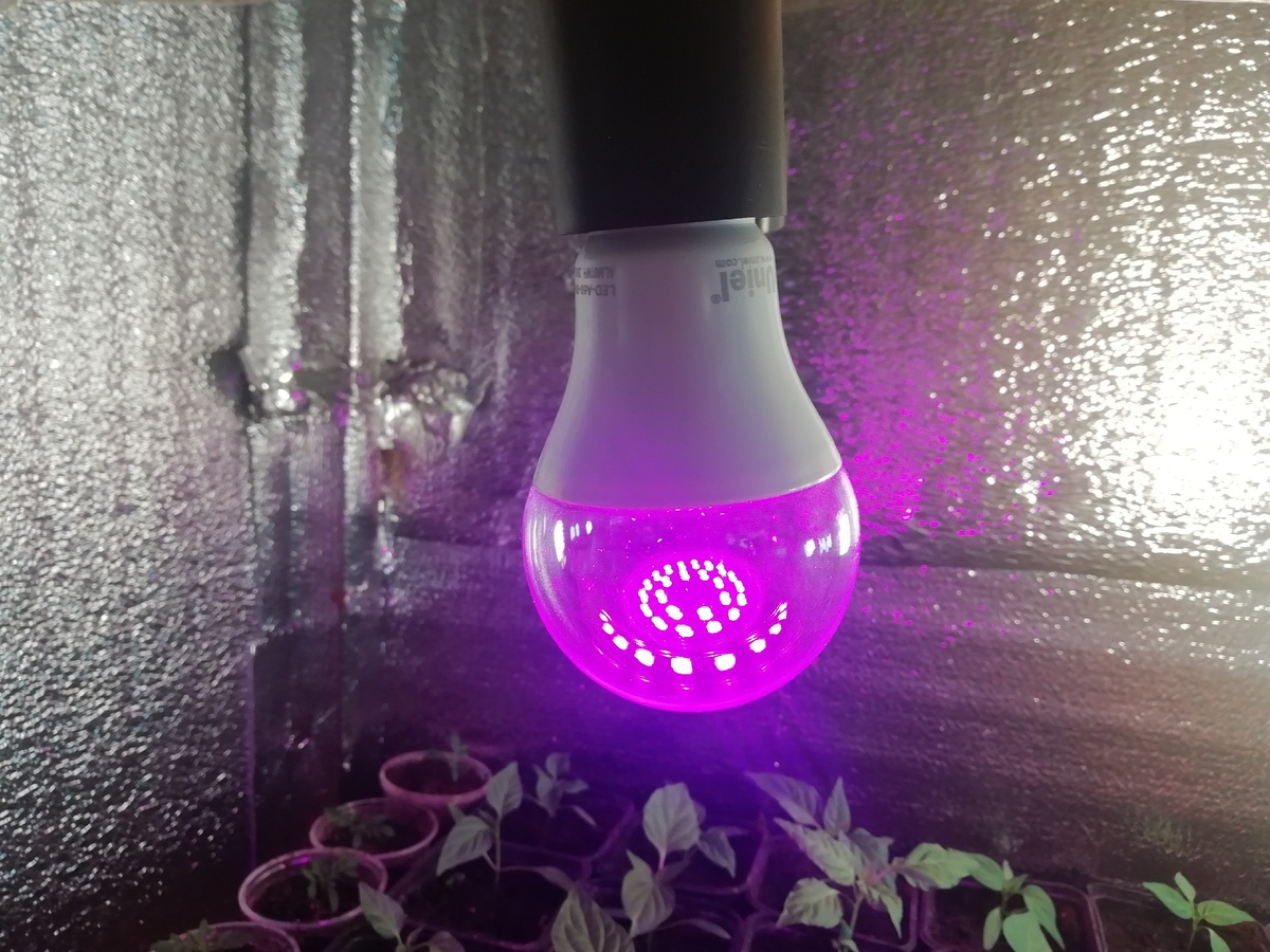 Вместо двух перегоревших энергосберегающих ламп я подключила одну новую светодиодную