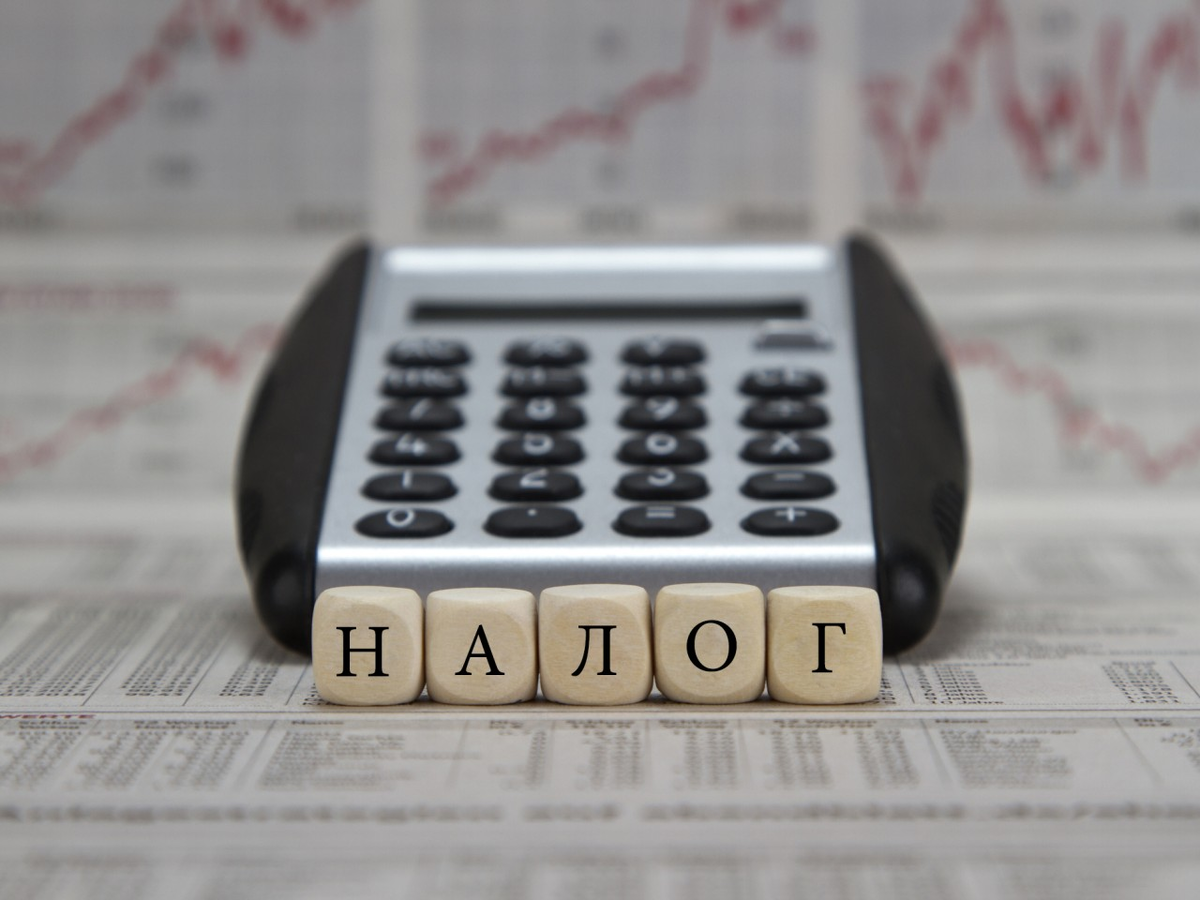 фото из Сети