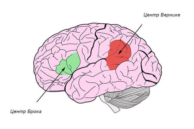 картинка из открытых источников