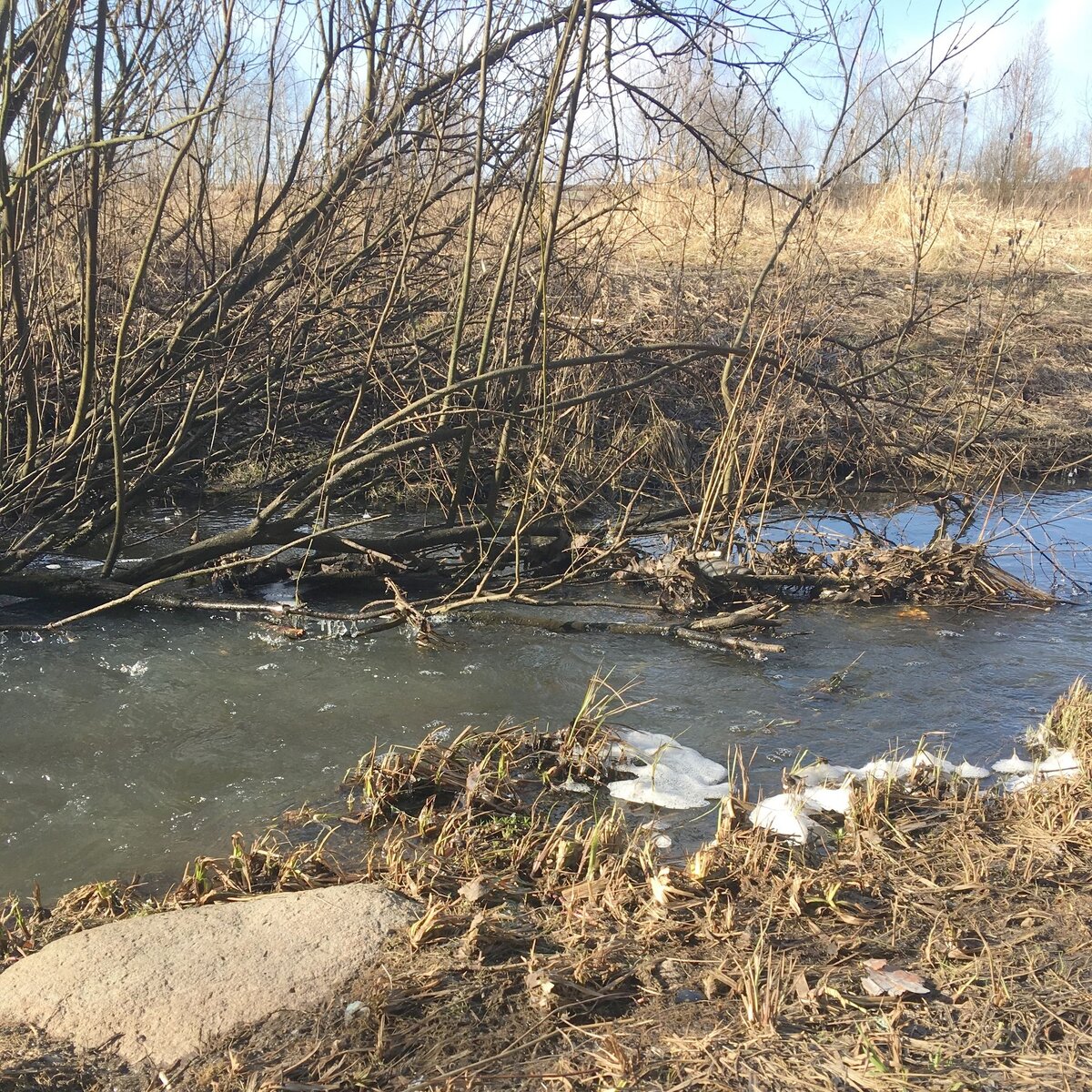Река Сосновка (Санкт-Петербург) в марте