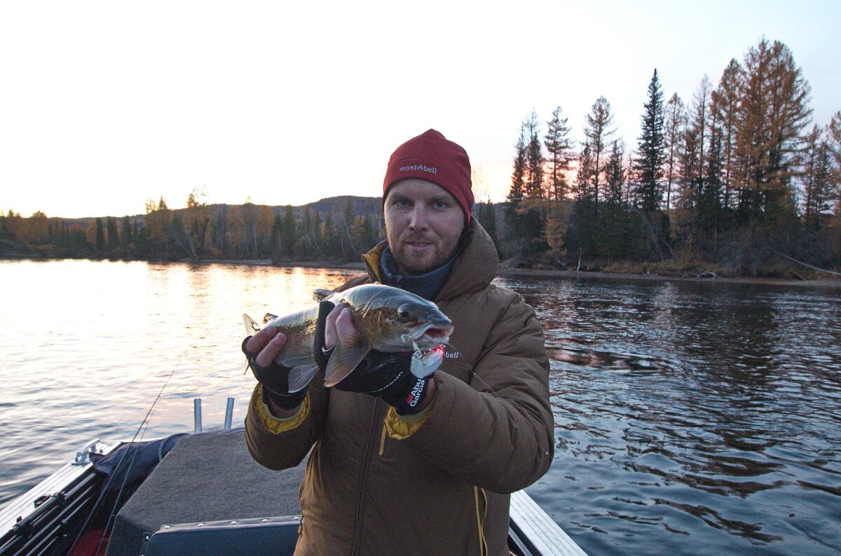 Ленок - определённа та рыба от ловли которой можно получить большое удовольствие. С мощной поклёвкой и очень резвым сопротивлением. Таймеши такого и даже существенно более крупного размера не идут ни в какое сравнение по энергии этой рыбы! Этот соблазнился составником от Yo-Zuri на медленно проводке up-stream.