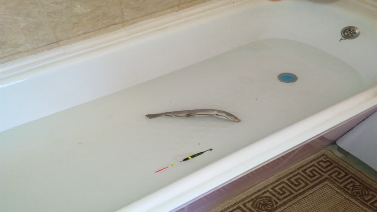 Подписывайтесь на канал и ставьте лайки!